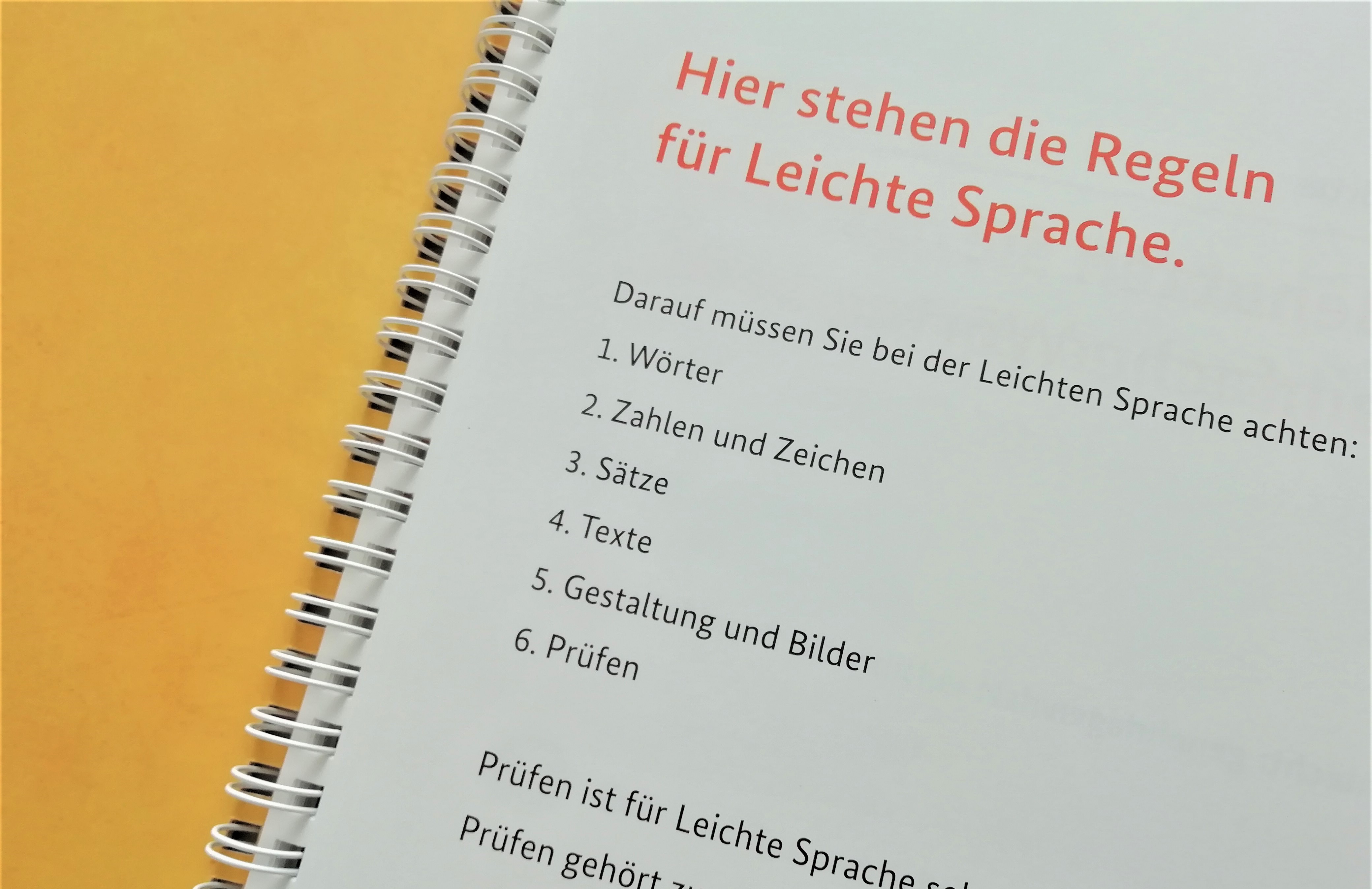 Das Foto zeigt eine Broschüre, aufgeschlagen. In der Überschrift steht: hier stehen die regeln für Leichte Sprache. Danach folgt erklärender Text.