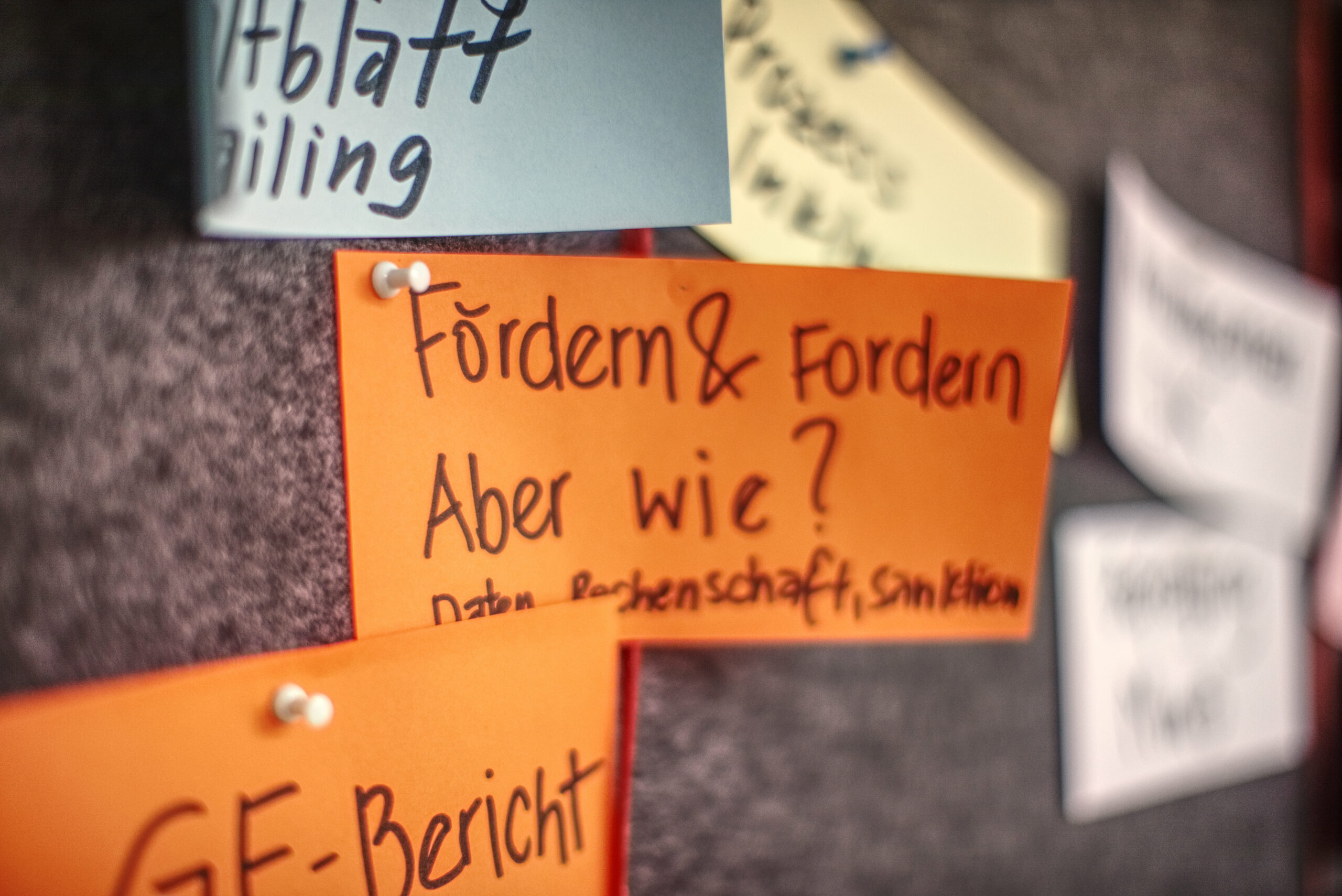 Auf einer Pinnwand sind verschiedenfarbige Kärtchen angebracht, auf denen Workshopideen geschrieben stehen.